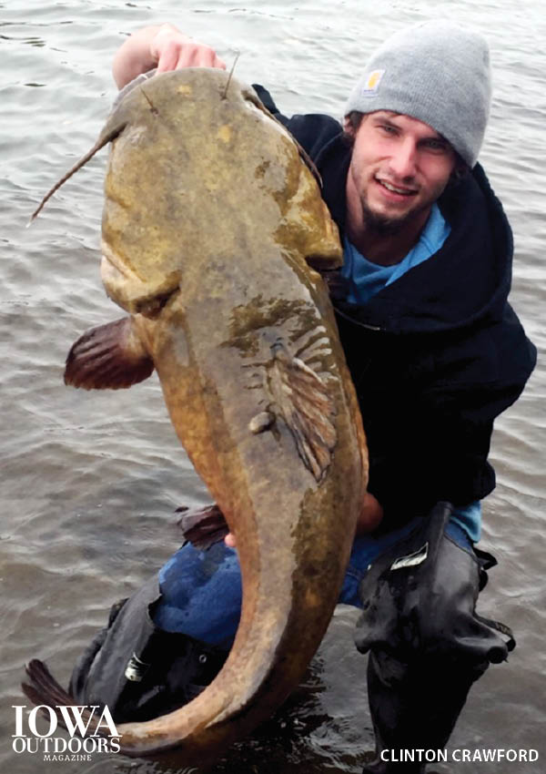Learn more about Iowa's monster fish, the flathead catfish from Iowa Outdoors magazine | Photo: Clinton Crawford, Des Moines River | Iowa DNR